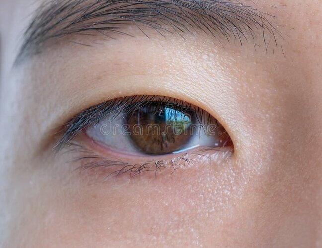 Close up asian female s eye texture dark brown eye visible macro detail close up asian female 