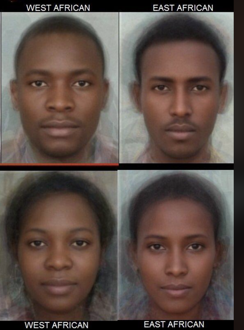 Screenshot 2026-02-13 at 10.38.11 PM.png