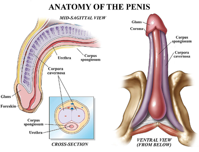 Capture d'écran 2026-02-14 152103.png