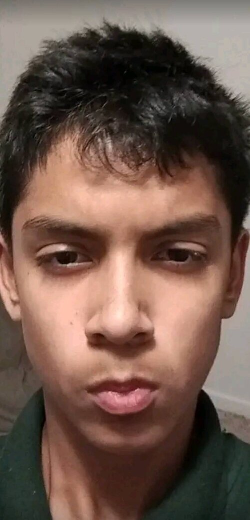 LAMOOO.jpg