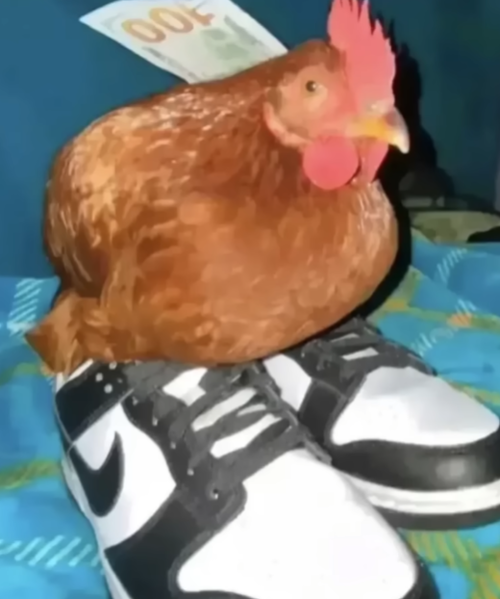 Screenshot 2026-02-18 013338.png