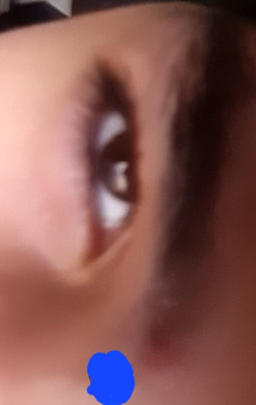 WhatsApp Image 2026-02-21 at 19.26.18.jpeg