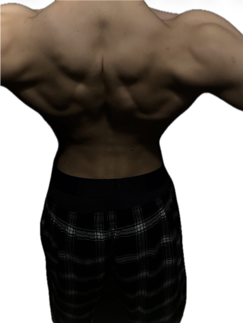 Screenshot 2026-02-19 at 08.49.17.png