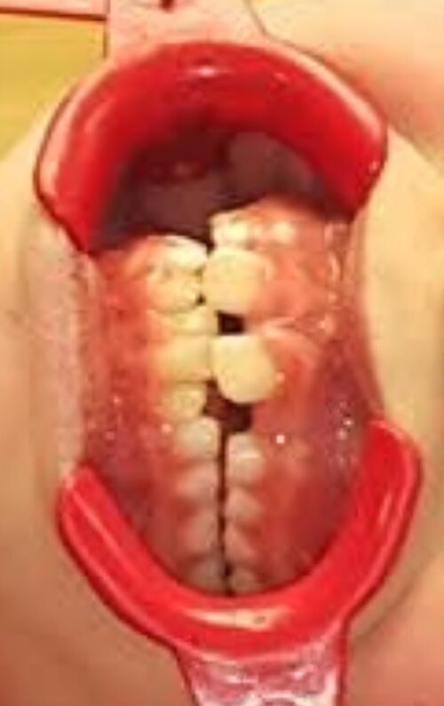 IMG_20260222_132946 (2)(1).jpg