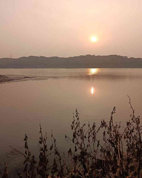 Screenshot 20260227 004010 Gallery