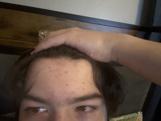 image.jpg