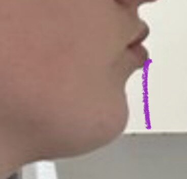 IMG_2750.jpeg