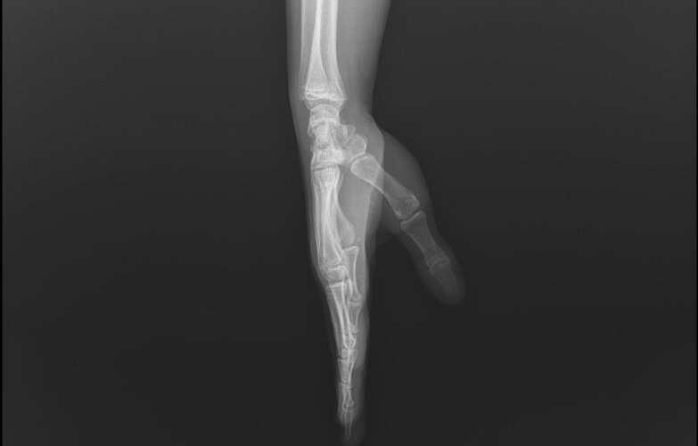 WhatsApp Image 2026-02-27 at 20.29.09.jpeg