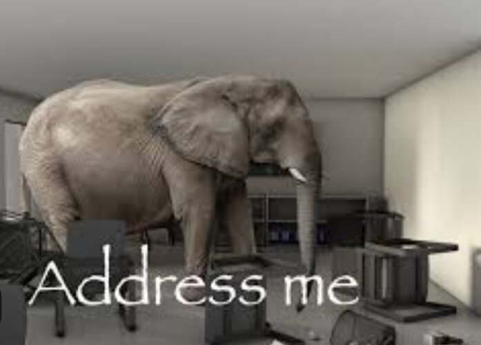 Screenshot 20260228 025338 Google