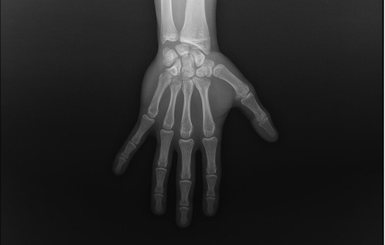 WhatsApp Image 2026-02-27 at 20.29.03.jpeg