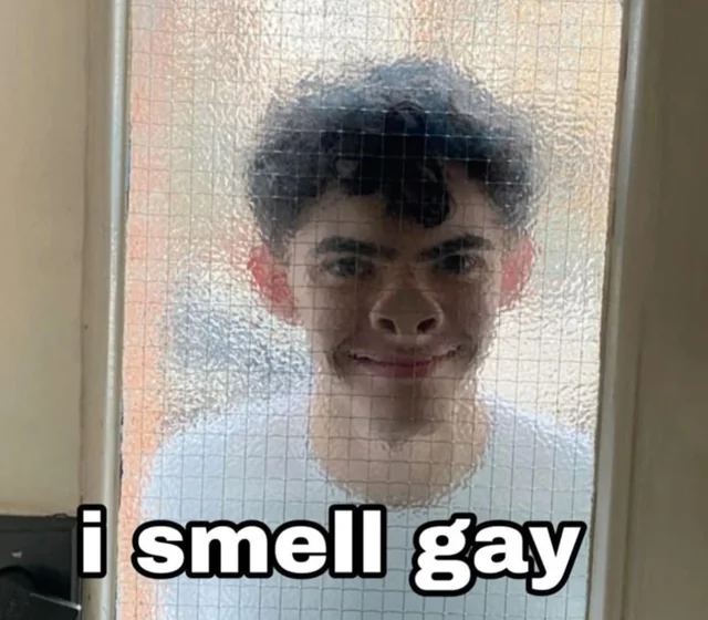 Gay memes for my fellow lgbt ppl v0 0ij8jzyxw3we1
