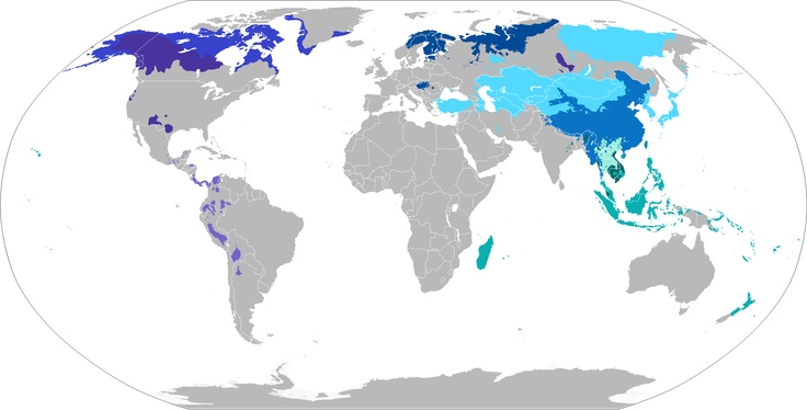 Abad6c38331033eeb600f924bd0dc57d