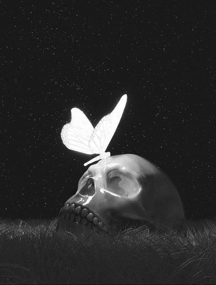 902f6cf7038bcaf06615144adfe4df56