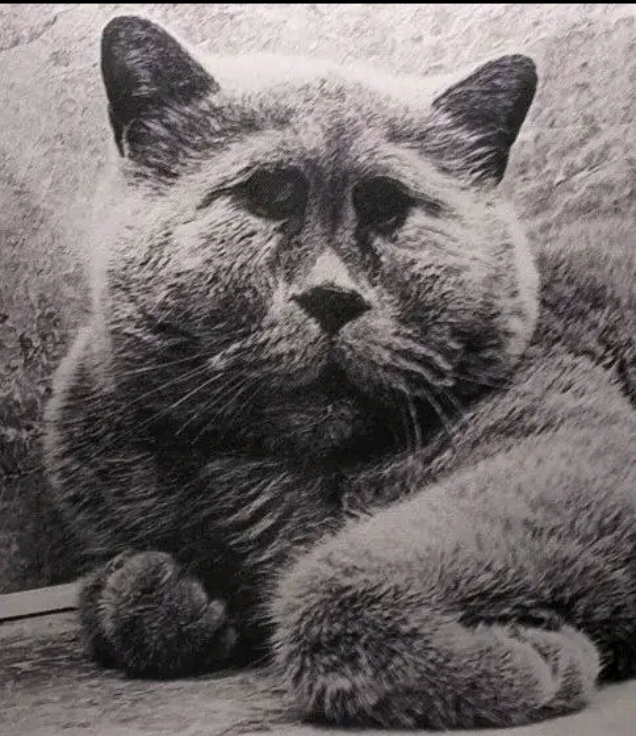 Screenshot 20260226 233924 com zhiliaoapp musically DetailActivity