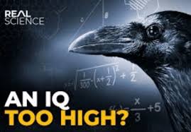 An Iq Too High Meme - An iq too high ...