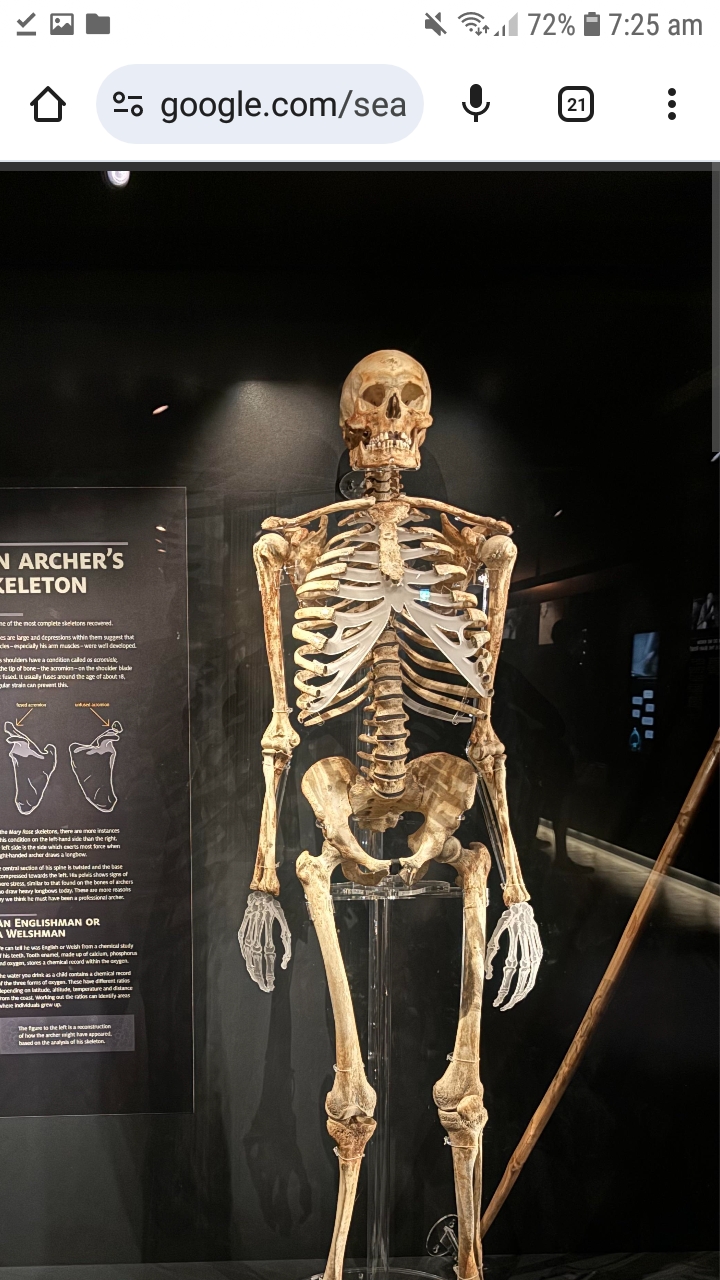 Screenshot 20260303 072535 Chrome