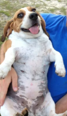 Screenshot 2025 12 24 002003