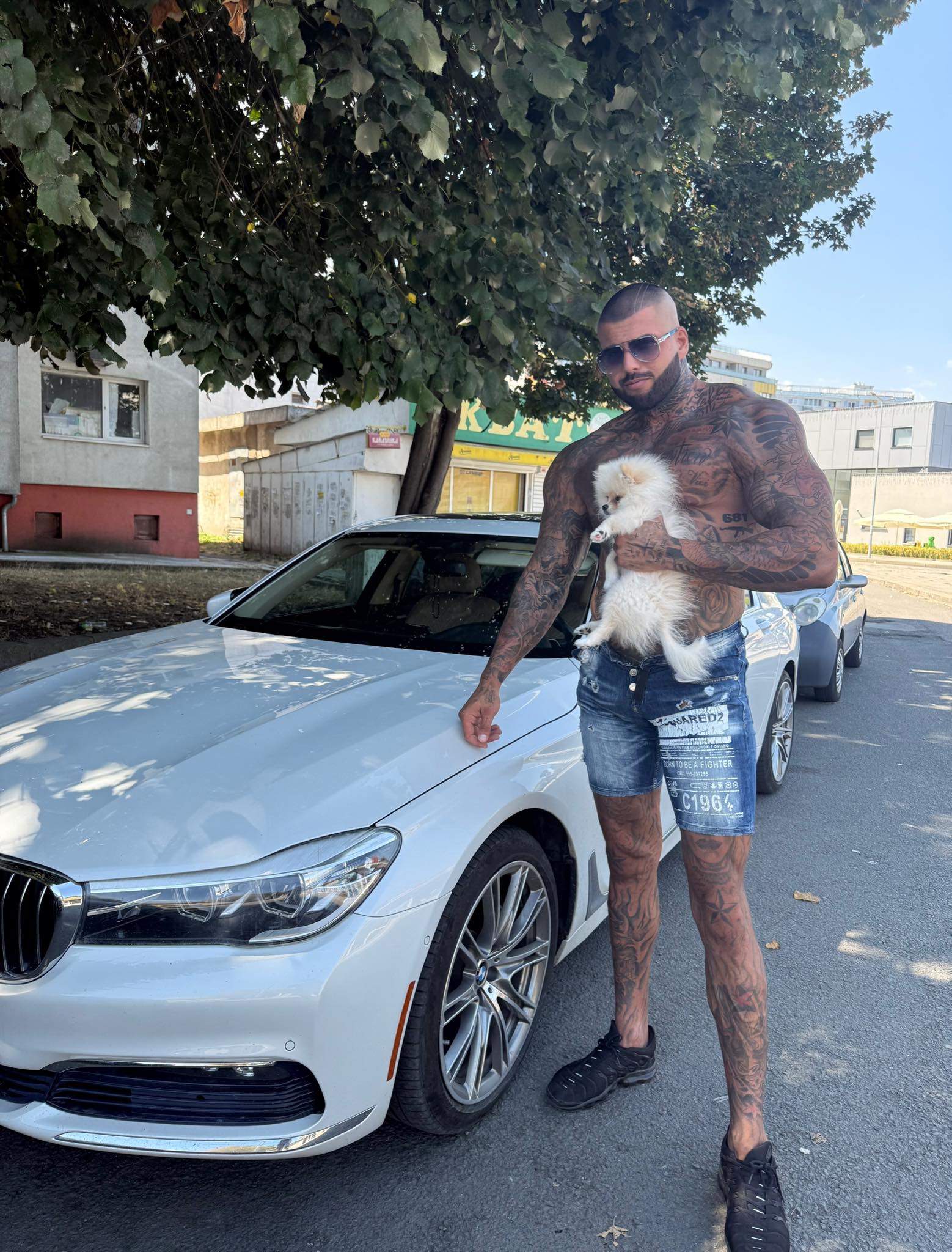 540095808 788456710389138 5162659704908846858 n