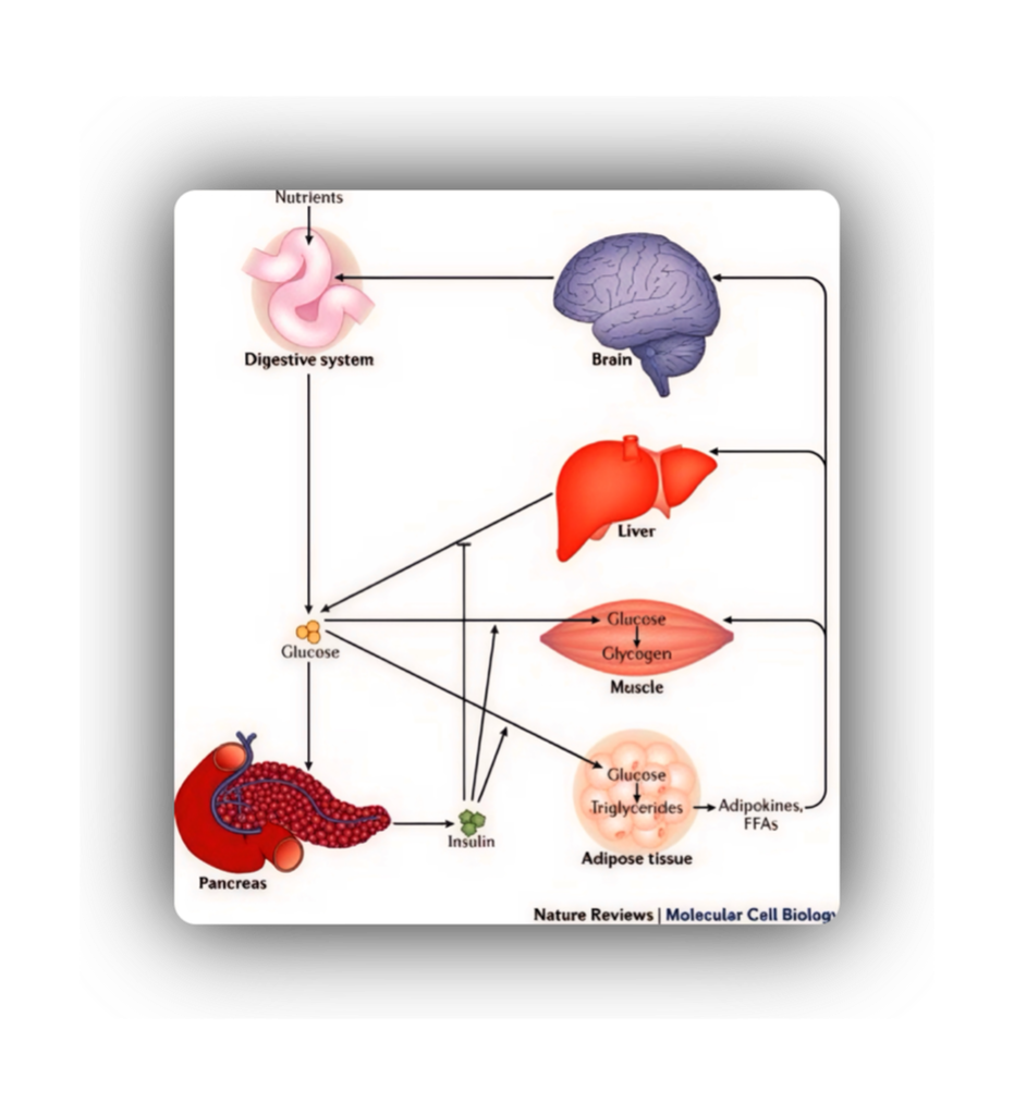 Bazaart 6DD2AB8D D01E 4668 905F 80EBB4013580