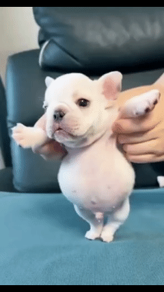 Untitled video   Made with Clipchamp 1