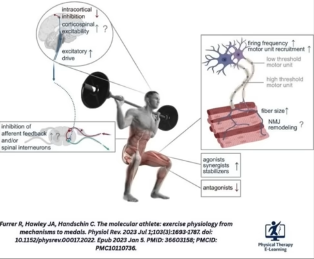 Imagen 2026 03 04 152733148