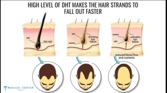 Imagen 2026 03 04 175949089