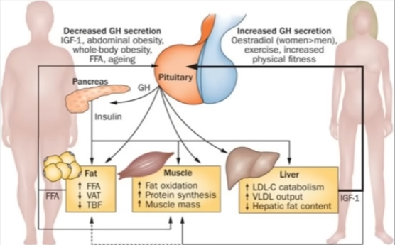Imagen 2026 03 04 180623300