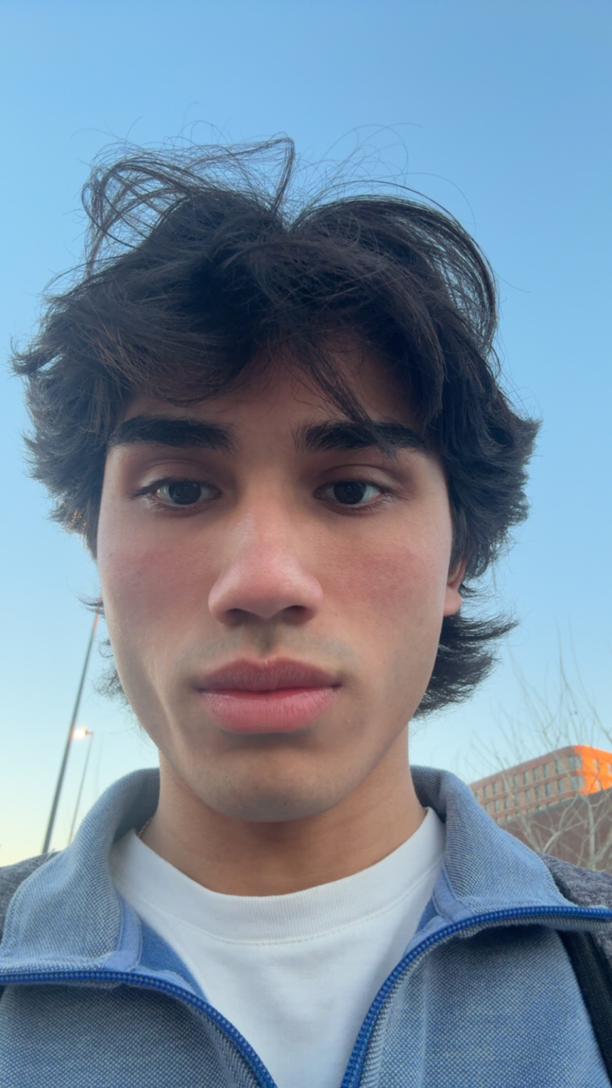 IMG 1356