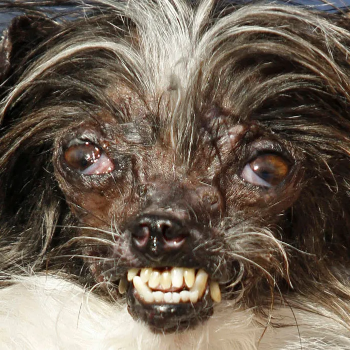 Screenshot 2026 03 05 125050