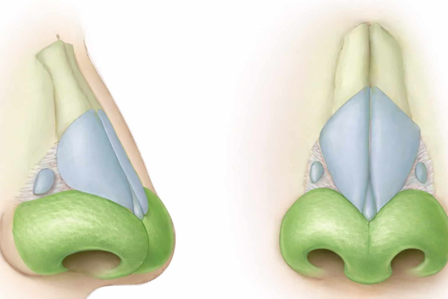 ChatGPT Image Mar 5 2026 01 27 33 PM