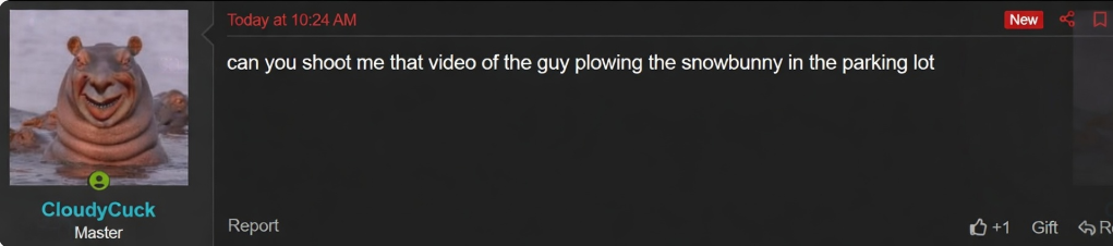 1772793256230