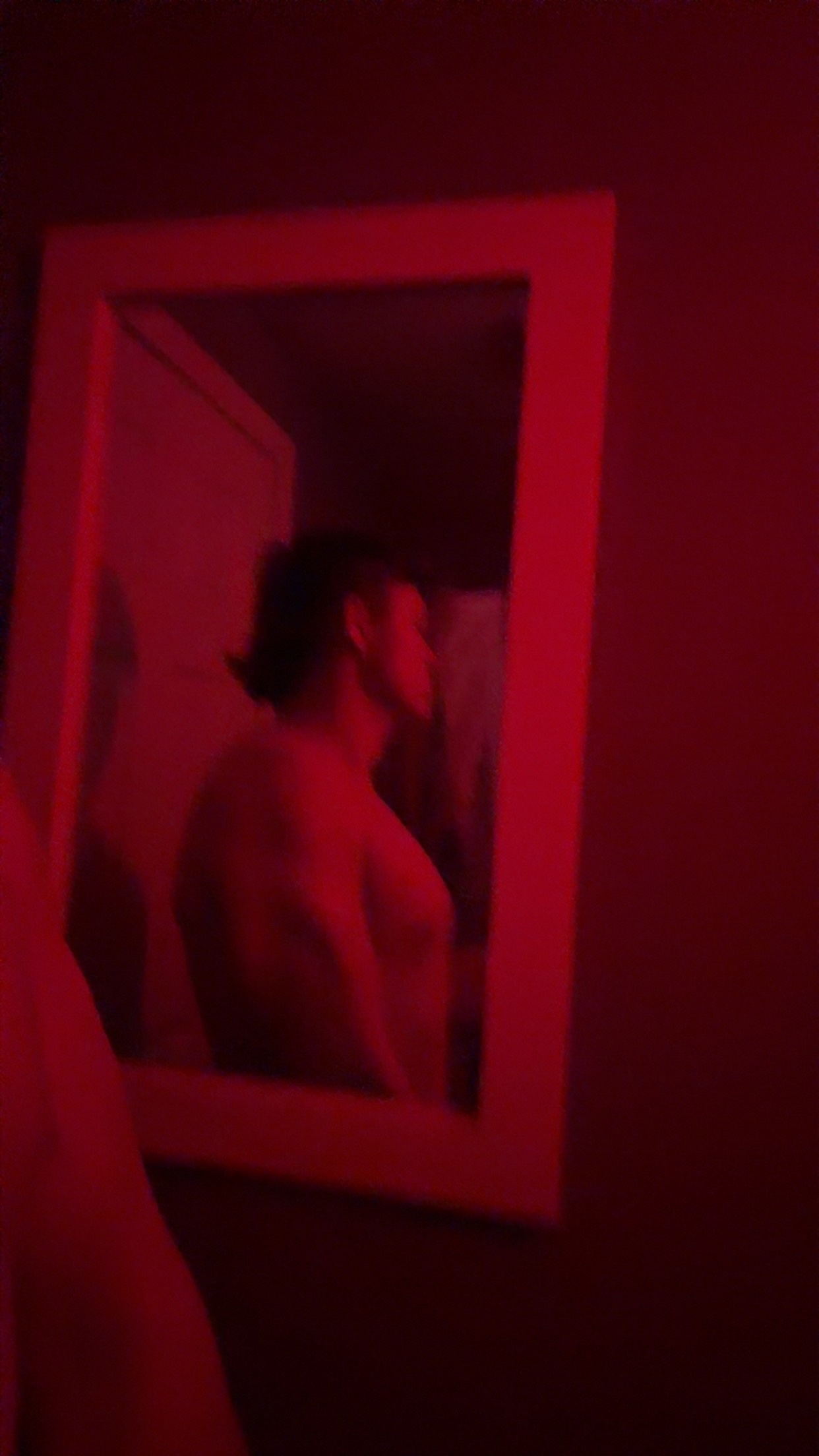 IMG 0475