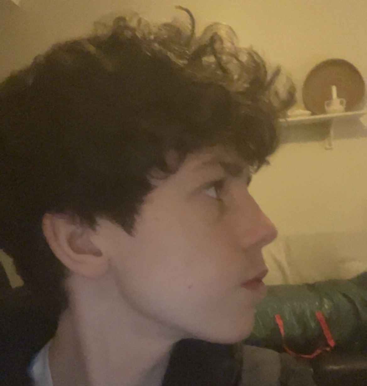 IMG 3654