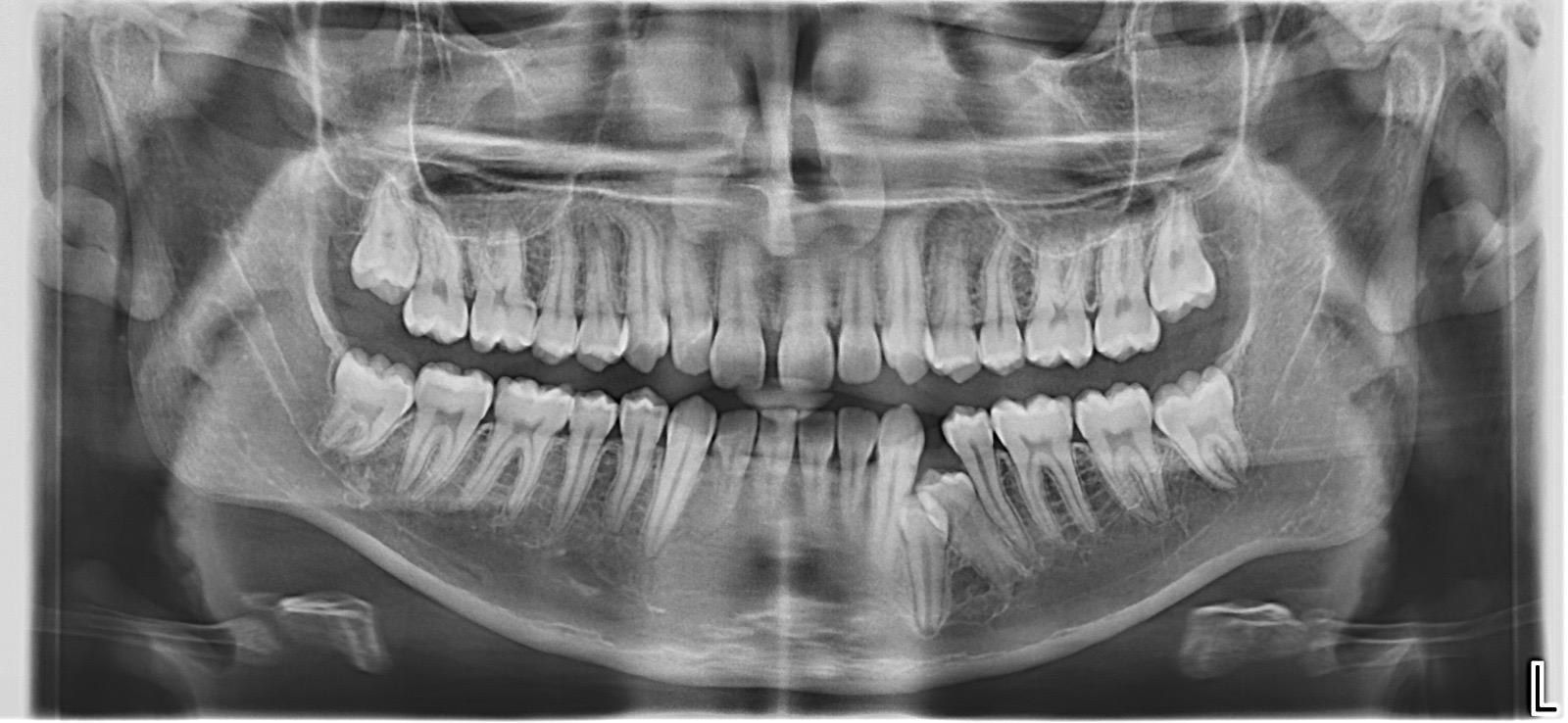 47495181 7c97 409b a33f 2dfbbe1c98e2