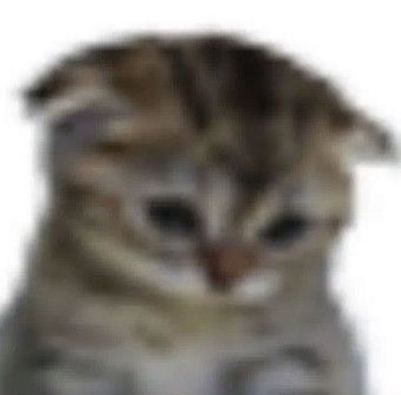 Download   2026 03 08T035838413