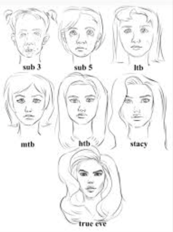 Screenshot 2026 03 09 at 33448am