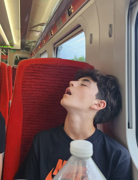 Screenshot 2026 03 08 135257