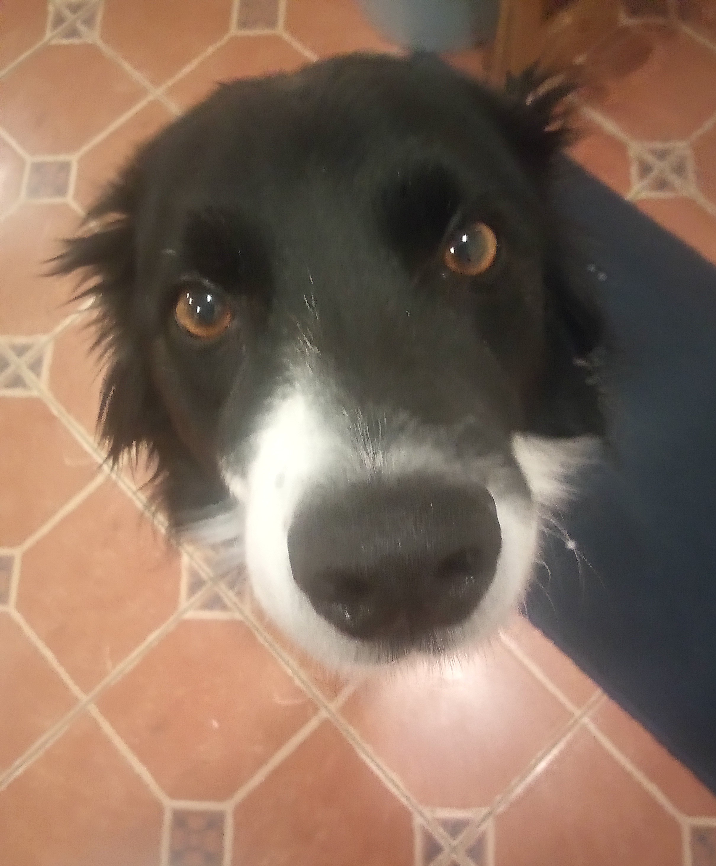 IMG 20260223 0622592