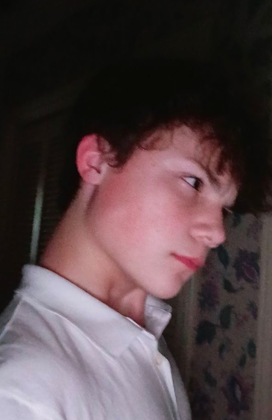 4343cfd9 0026 4c56 b307 117dee041f70 1 all 1724