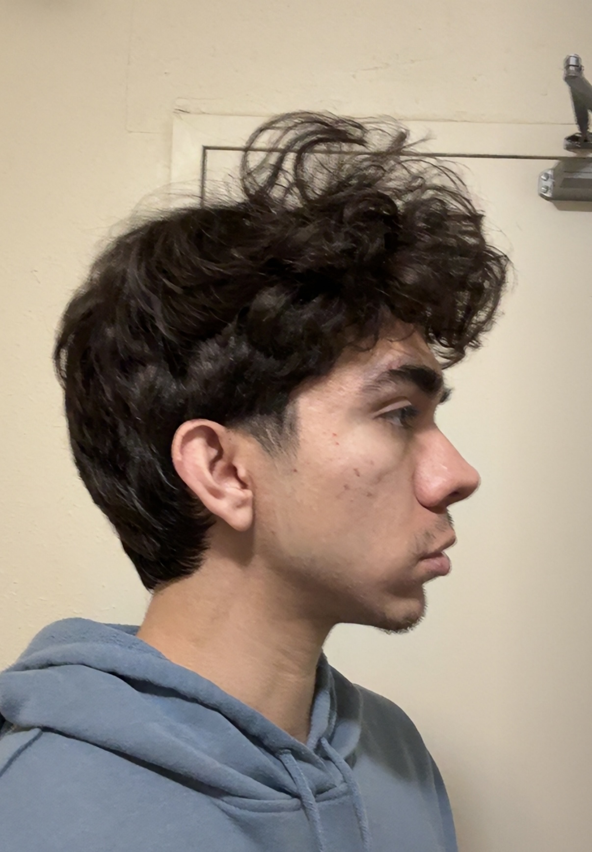 IMG 0451