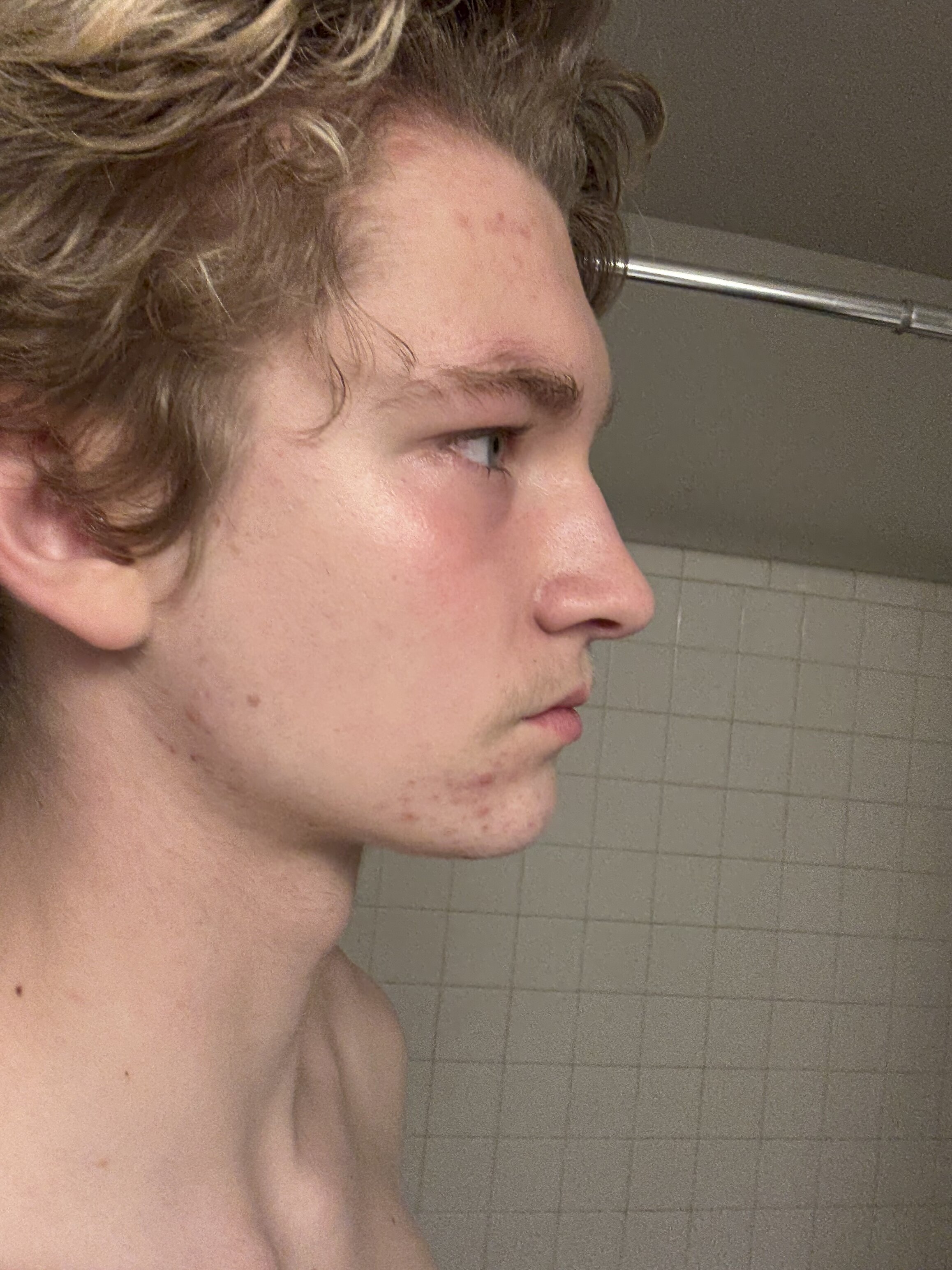 IMG 0186
