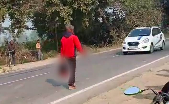 5335033 5301269 images 7 14