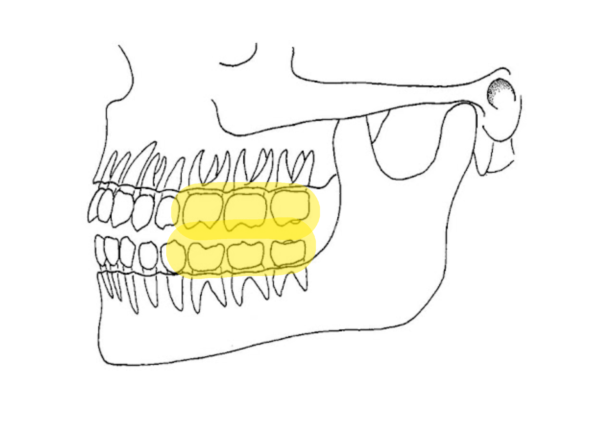 Untitled23 20260310203622