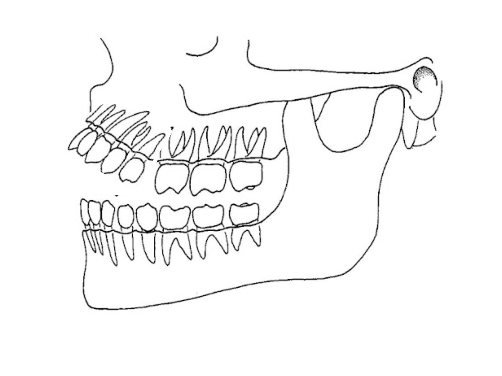 Untitled23 20260310203704