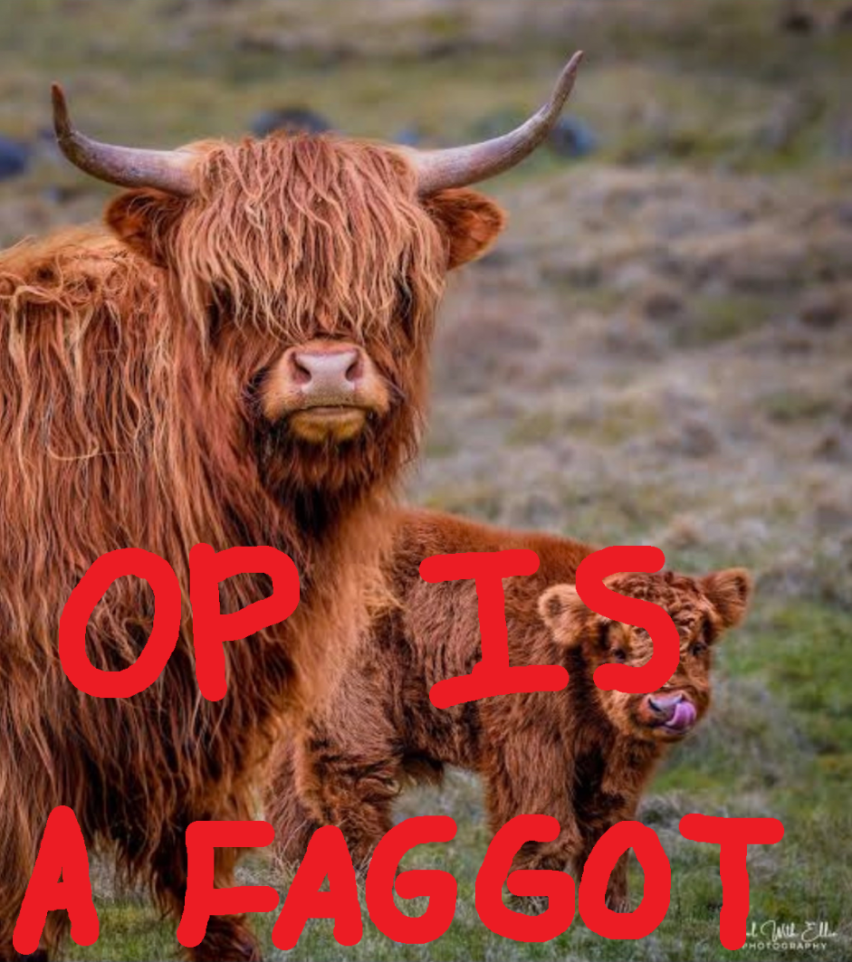 Screenshot 2026 03 10 073156