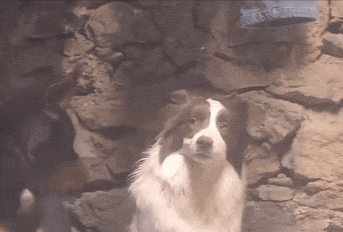 5150805 rage bait baited