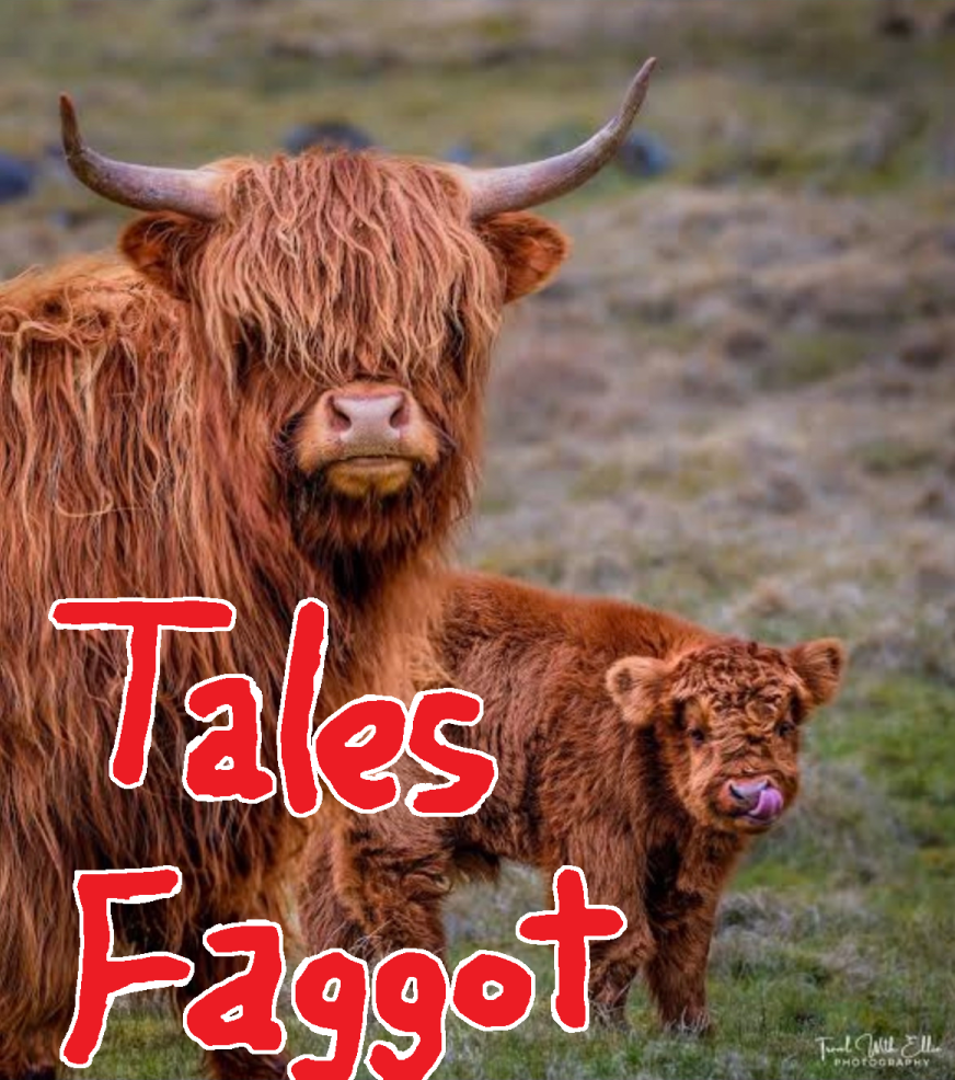 Screenshot 2026 03 10 080155