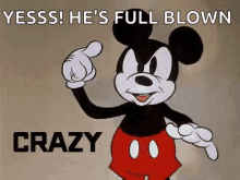 Mickey mouse crazy