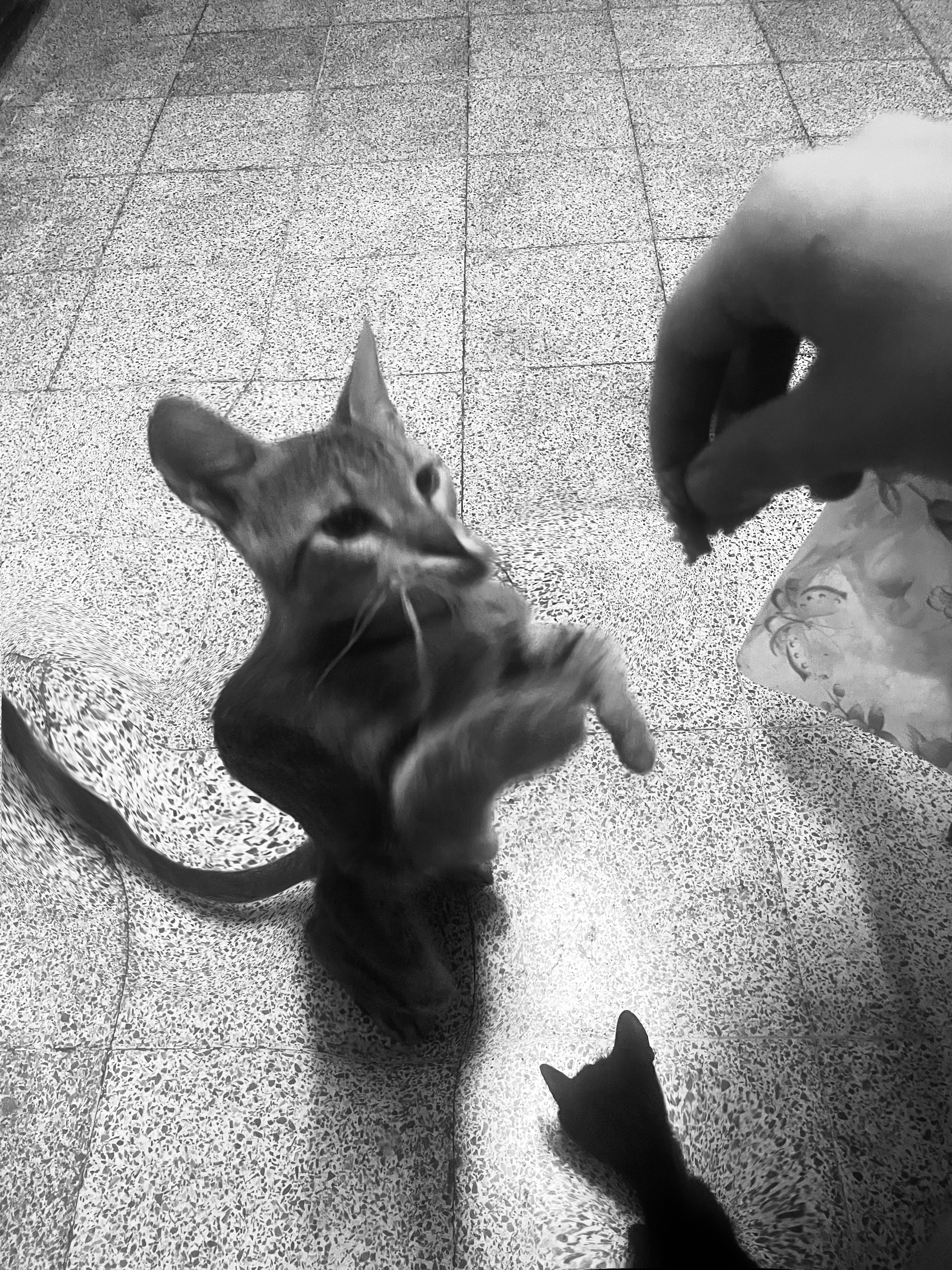 D7E1968D 2CC4 4FB1 84C8 D365AC7BA2B2