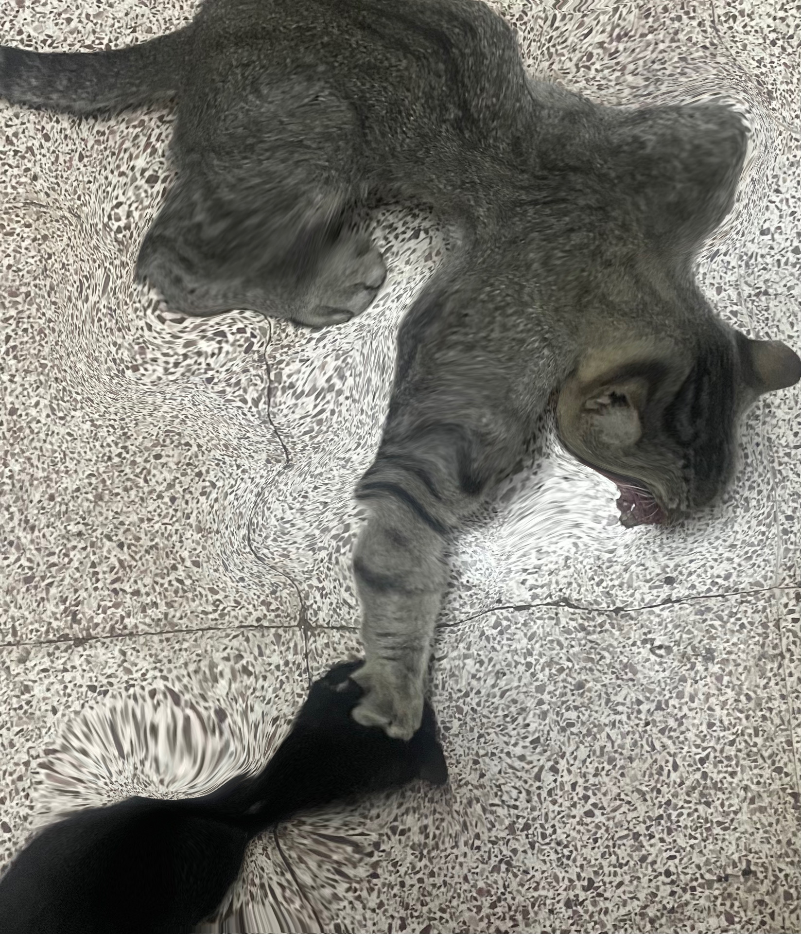 B37A8C14 3A18 4F90 A1AC 94B6067FEE23